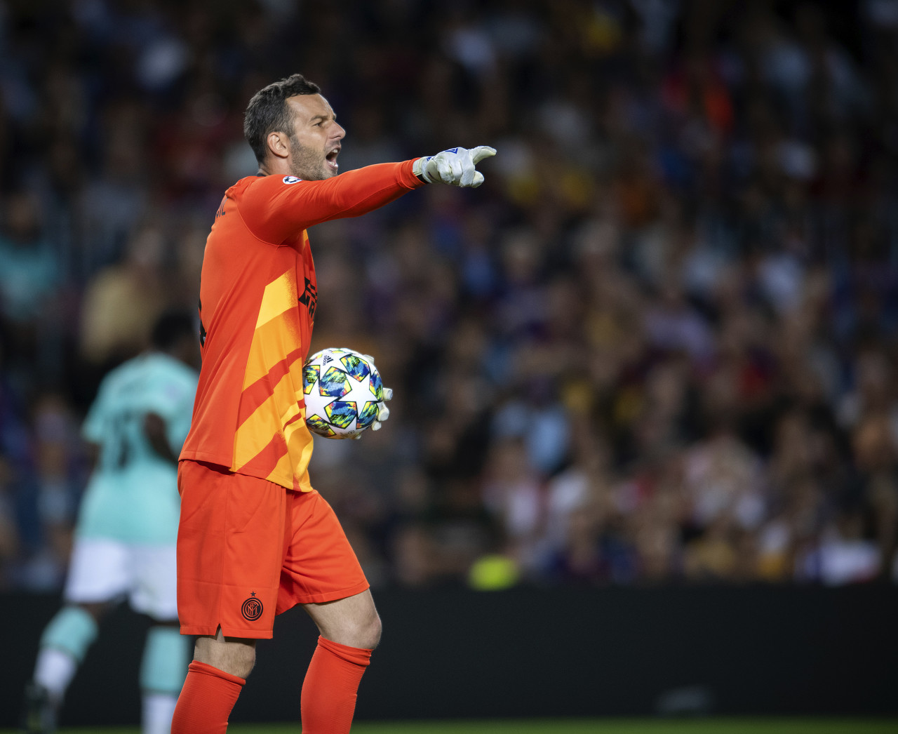 乒乓球运动 乒乓球运动